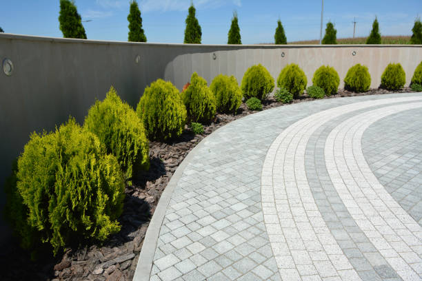 Permeable Paver Driveway in Albany, MN
