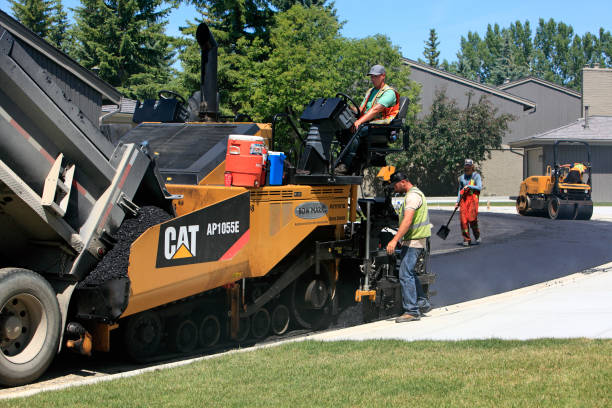 Best Custom Driveway Pavers  in Albany, MN